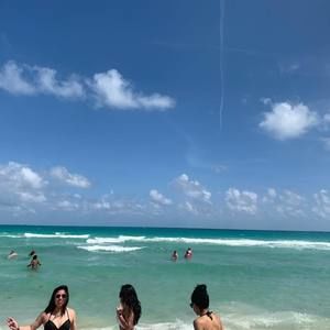 Meet your Posher, Daisy